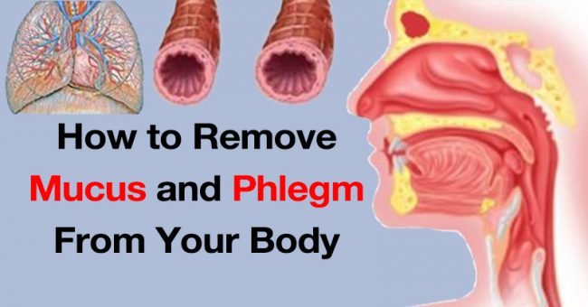 Eliminate Excess Mucus from Your System Using 5 Powerful Home Remedies