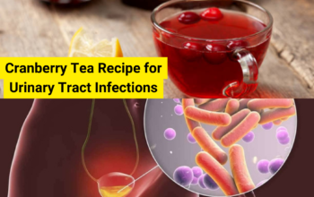 cranberry tea for urinary tract infection