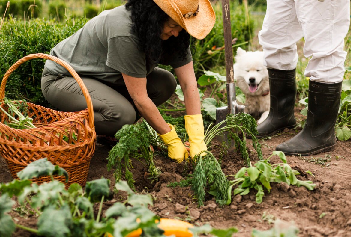 Organic Gardening 101: How to Grow Chemical-Free Vegetables and Fruits