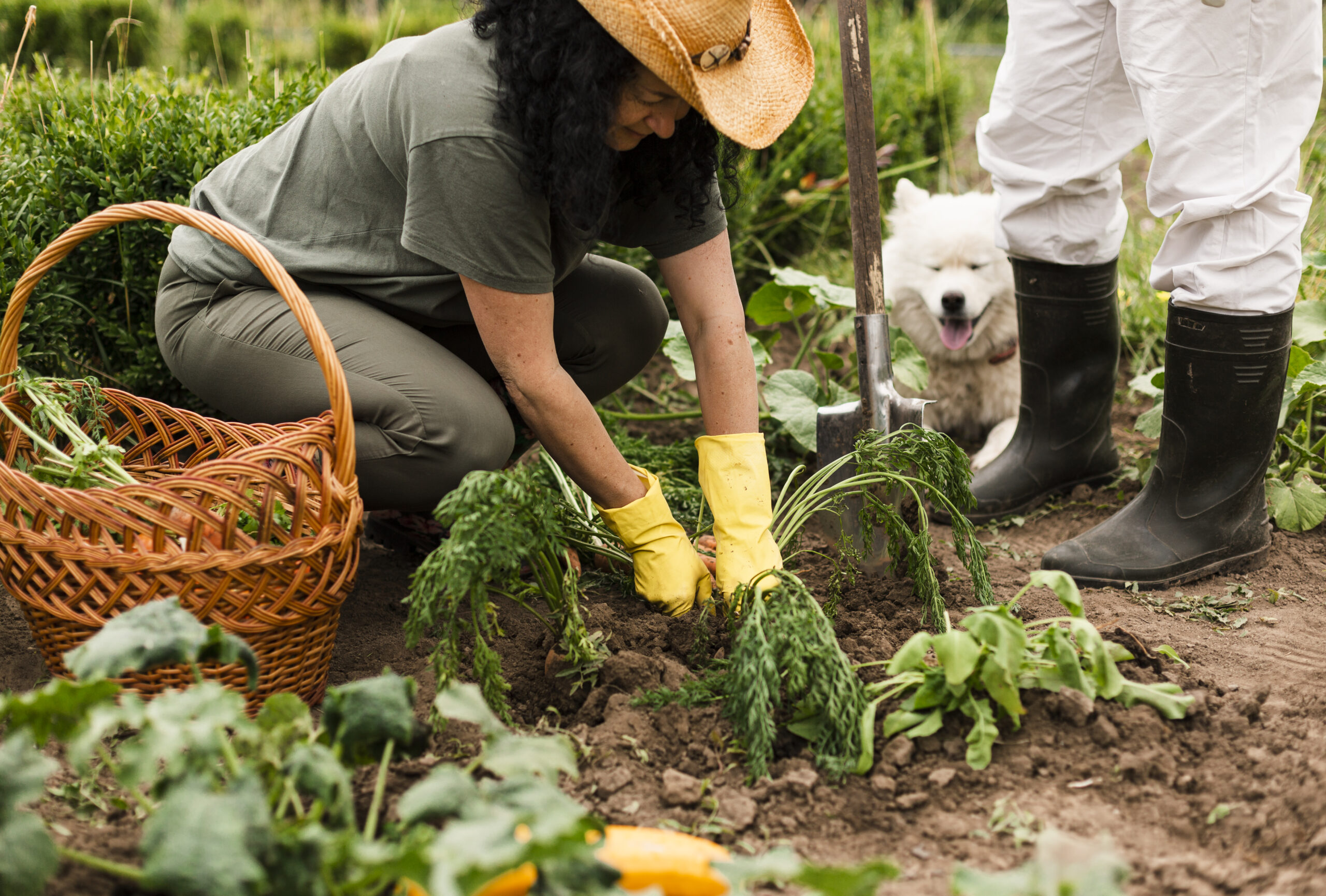 Organic gardening