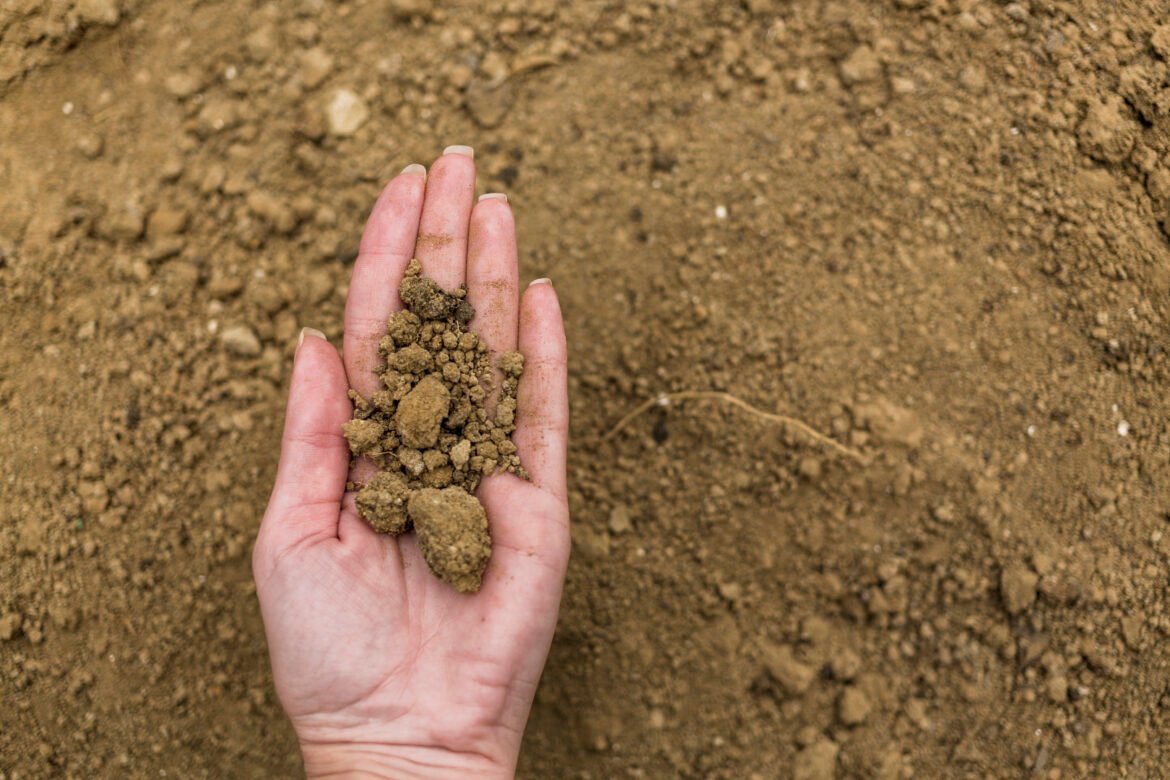 The Importance of Soil Health: How to Improve Your Garden’s Soil