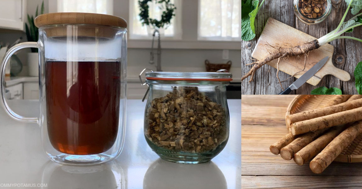 Burdock Root: Natural Remedy with Healing Powers (Recipe)