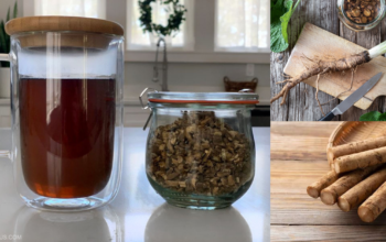 burdock root tea recipe