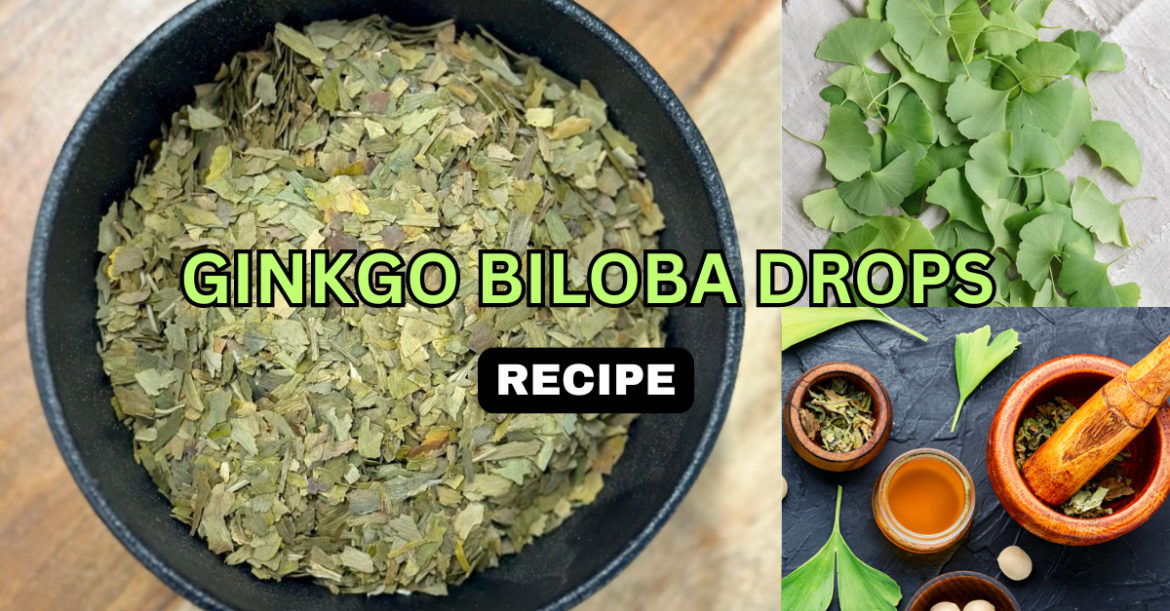 Ginkgo Biloba Drops – Boost Your Brain and Circulation