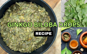 ginkgo biloba drops homemade recipe