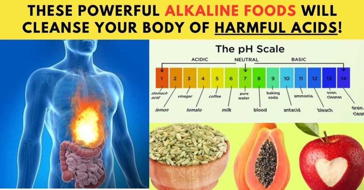 Erase All Acidity from Your Body with These 22 Alkaline Superfoods!