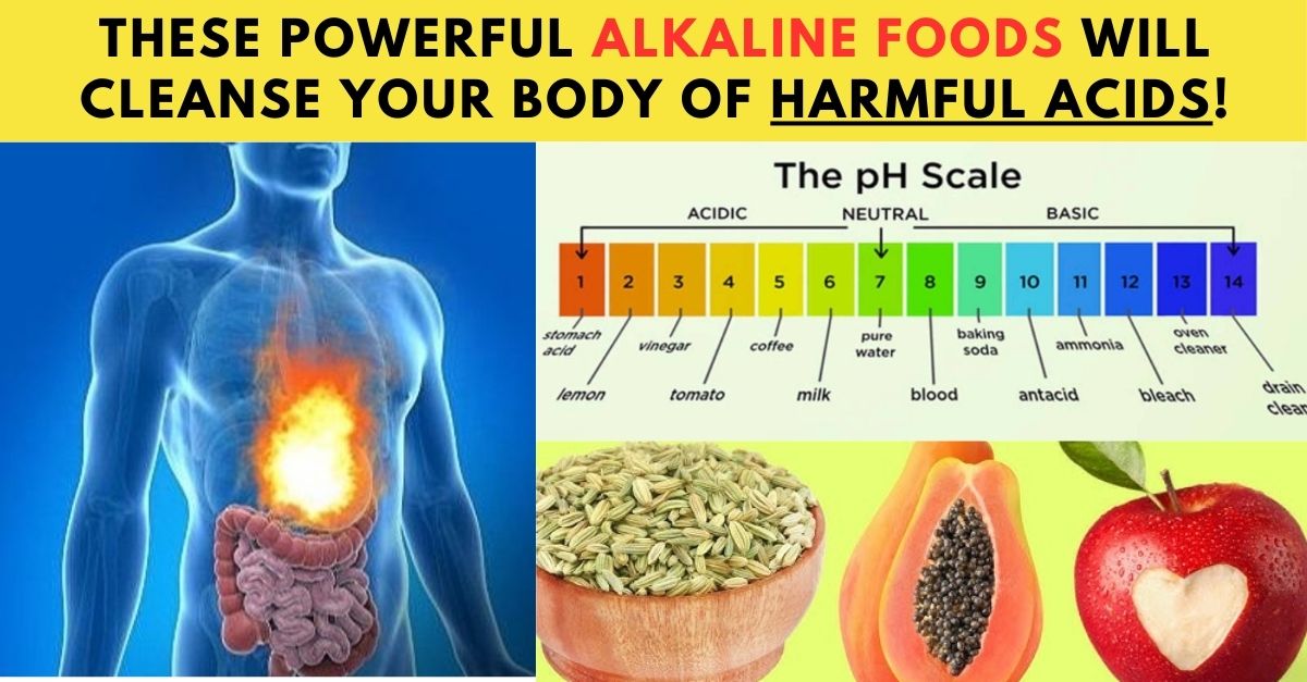 22 Alkaline foods