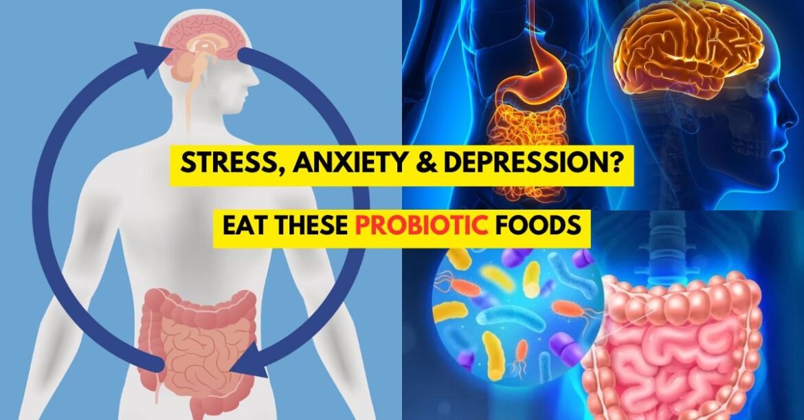 If You Are Stressed, Anxious or Depressed You Need to Know These Probiotic Foods