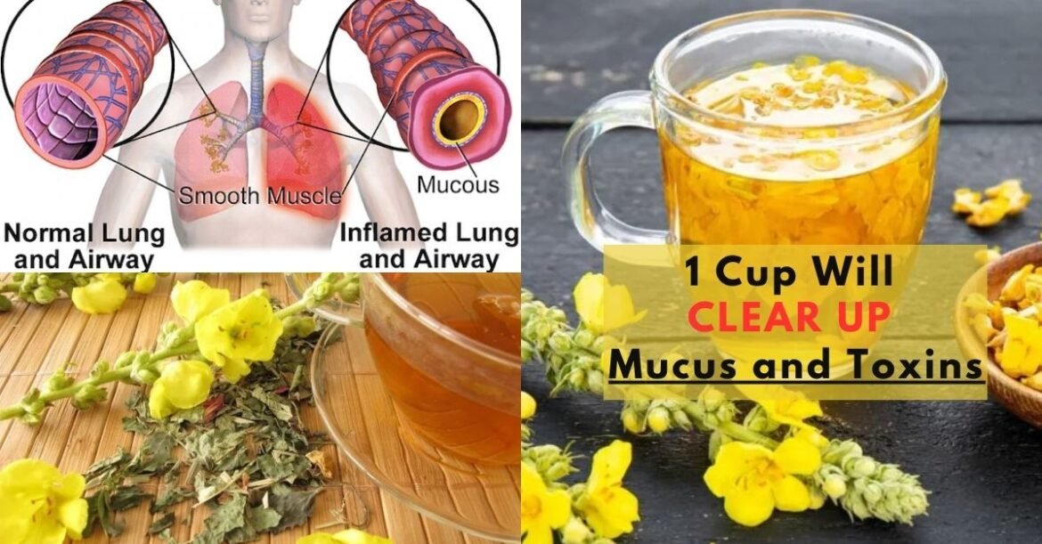 This 3-Ingredient Tea Clears Your Lungs of Mucus, Toxins, and Inflammation