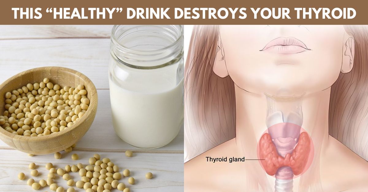 soy milk thyroid issues