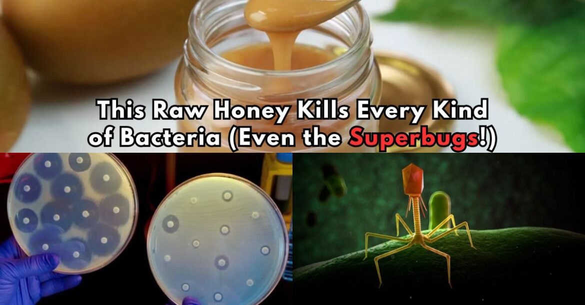 This Powerful Honey Kills All Bacteria and Even Fights Superbugs