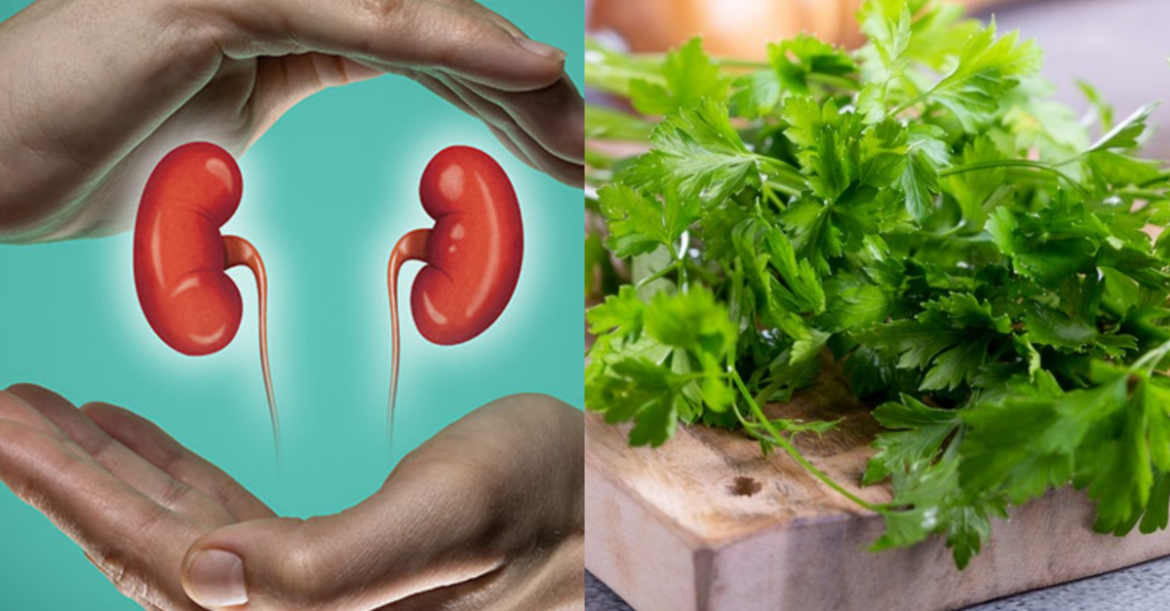 Watch Your Kidney Stones Flush Out with This Powerful Home Remedy