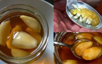 Garlic and Honey flu tonic remedy