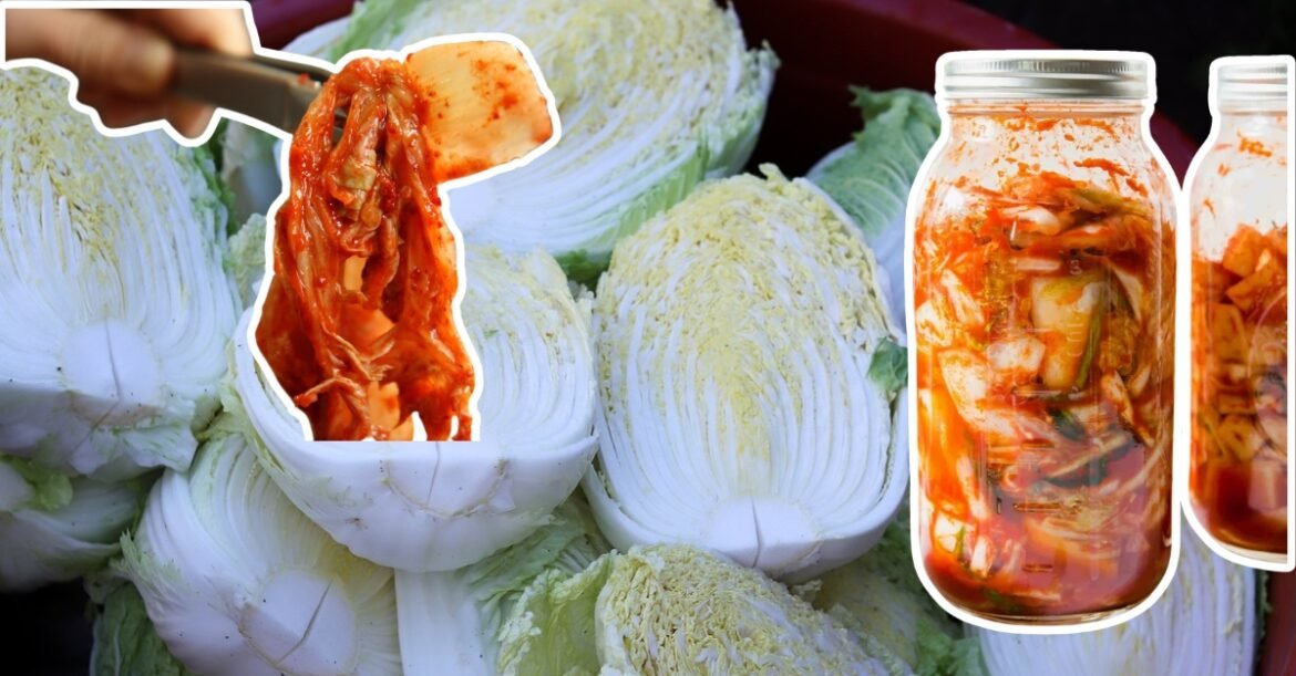 Ancient Kimchi Recipe: Detox Your Gut and Boost Immunity Naturally!