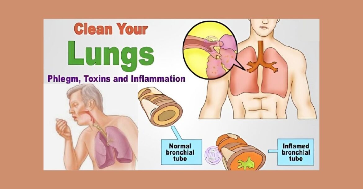 How to Remove Chest and Throat Mucus Fast with These Natural Remedies