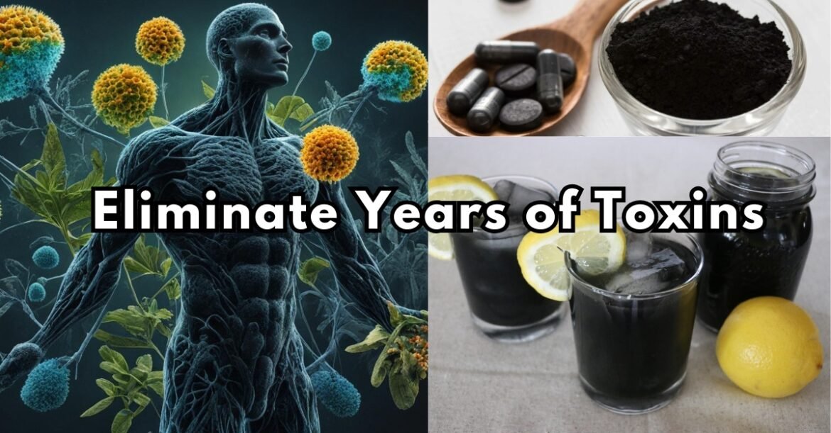 Activated Charcoal Recipes: Cleanse Toxins, Mold, and Poisons from Your Body