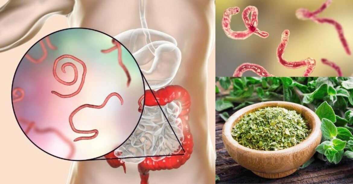 Get Rid of Internal Parasites with These 7 Powerful Herbs!