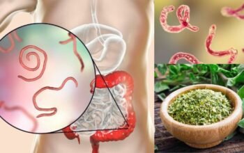 eliminate internal parasites 7 natural herbs