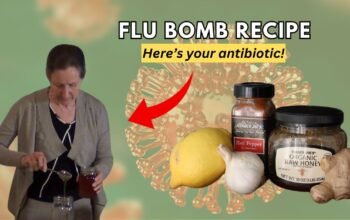 how to make Barbara O’Neill Flu Bomb Recipe