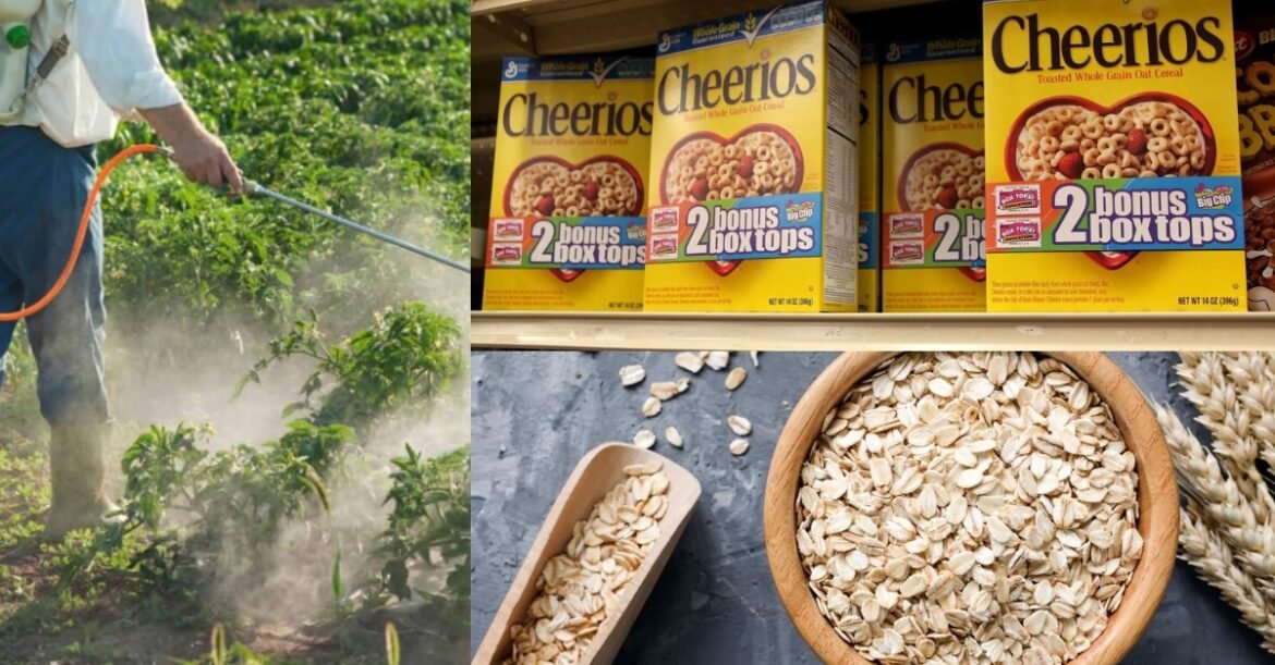 Toxic Oats Alert: 80% of Americans Carry This Fertility-Harming Chemical