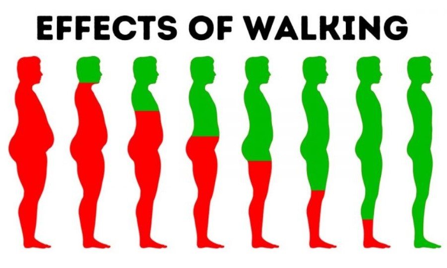 10 Incredible Health Secrets Unlocked by Daily Walking