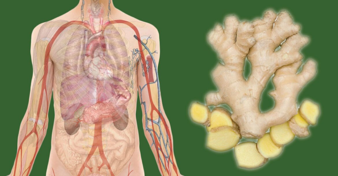 10 Shocking Health Benefits of Ginger Tea You Can’t Ignore!