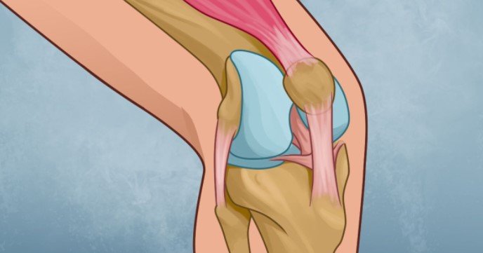 7 Secrets to Heal Your Knees and Stop Joint Pain Forever