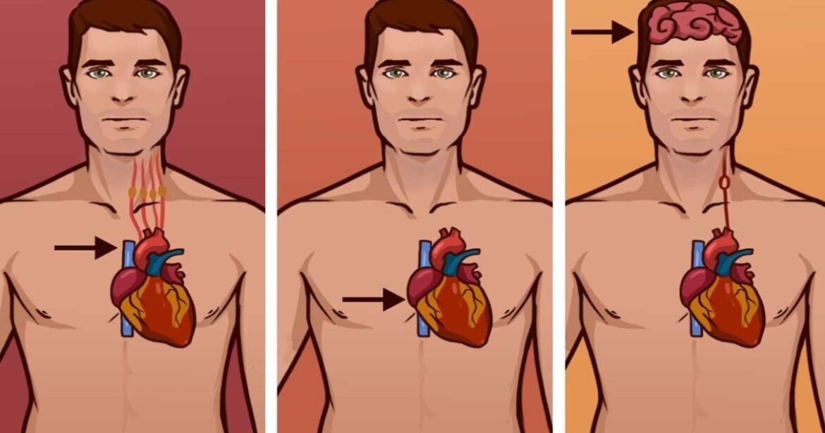 Shocking Differences: Heart Attack, Cardiac Arrest & Stroke Explained