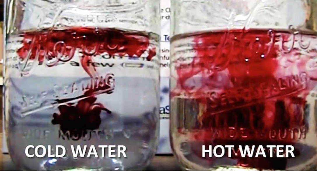 Warm vs. Cold Water: The Shocking Morning Hydration Secret Revealed!