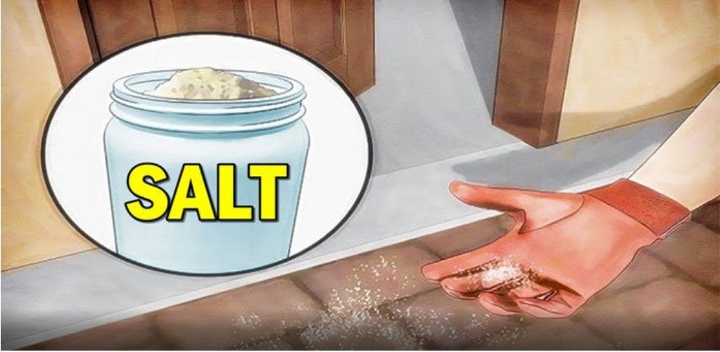 17 Mind-Blowing Salt Hacks That Will Transform Your Home Forever