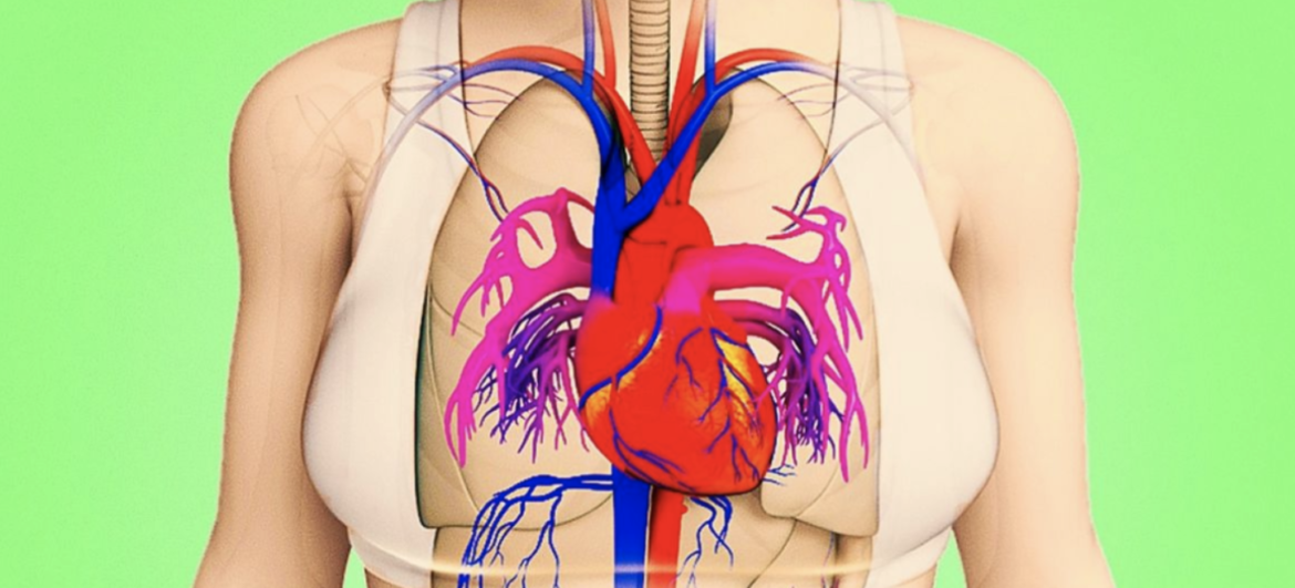 7 Critical Heart Attack Warning Signs You Can’t Ignore