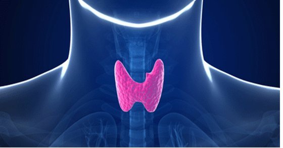 7 Foods That Supercharge Your Thyroid Health Naturally