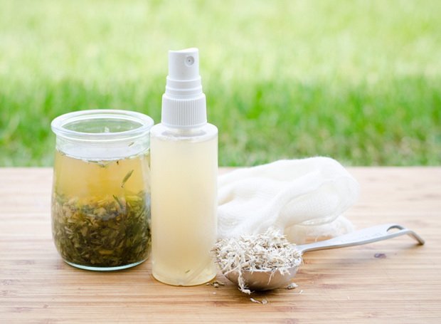 7 Natural Mosquito Repellent Spray Recipes That Actually Work