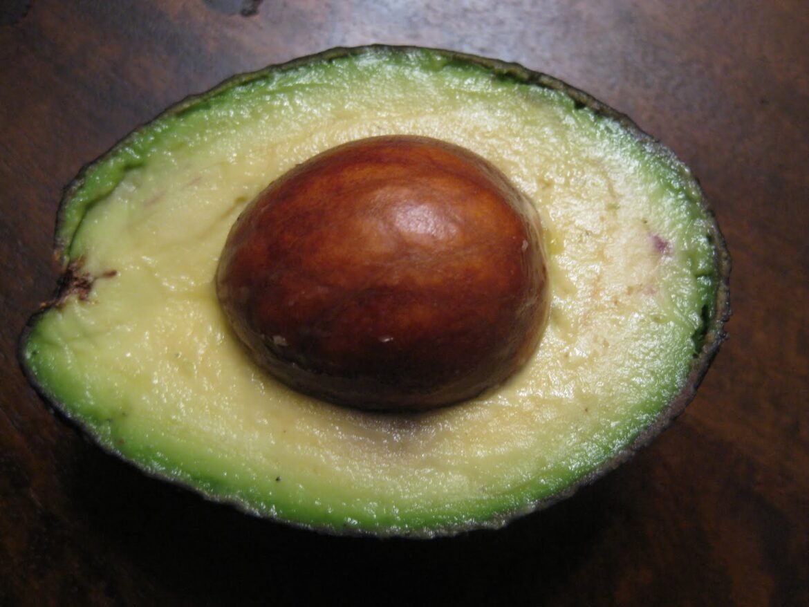 9 Shocking Health Benefits of Avocado Seeds You Never Knew