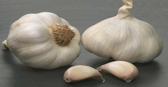 Garlic Cooking Secrets: The 1 Mistake Killing Your Flavor Instantly