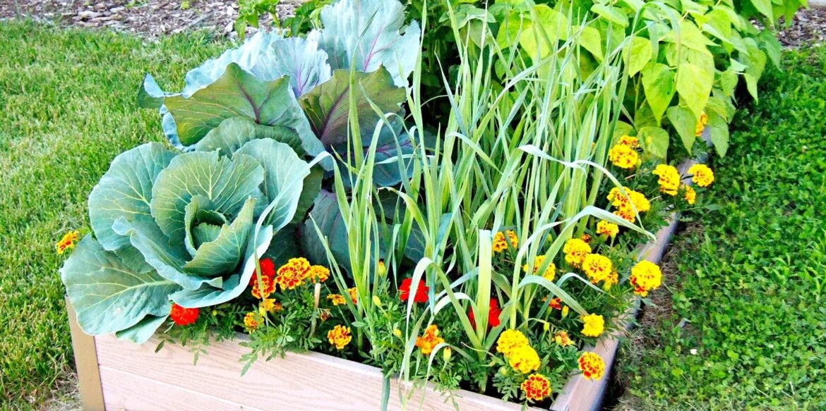 Grow Your Best Garden Ever: 7 Secrets to Vegetable Planting Success