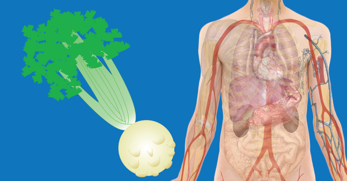 The Secret Celery Hack: 5 Ways to Crush Joint Pain Naturally