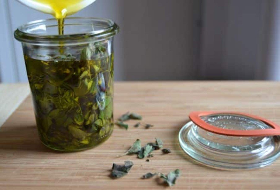 The Ultimate Natural Antibiotic: Oregano Oil Beats Prescription Drugs