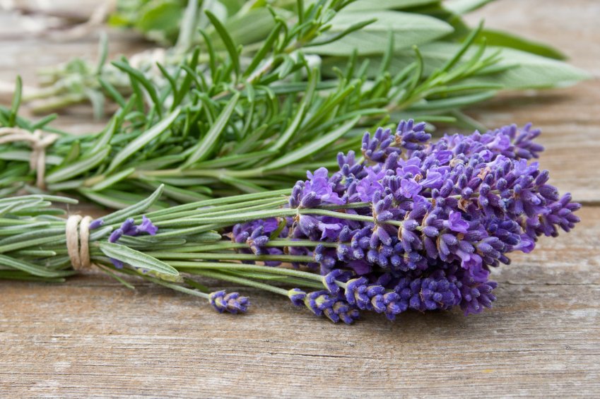 10 Healing Herbs Every Woman Must Know About Now