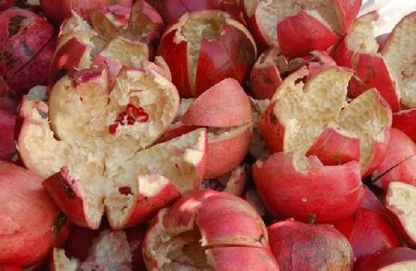 10 Shocking Health Secrets Hidden in Pomegranate Peels