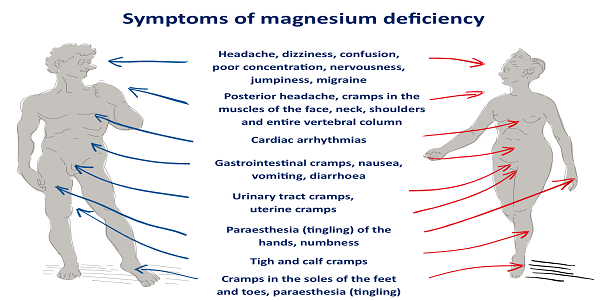 10 Silent Signs of Magnesium Deficiency You Can’t Ignore!