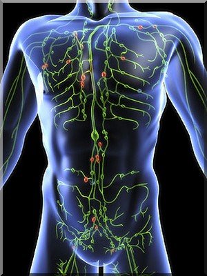 7 Natural Ways to Detox Your Lymphatic System Fast!