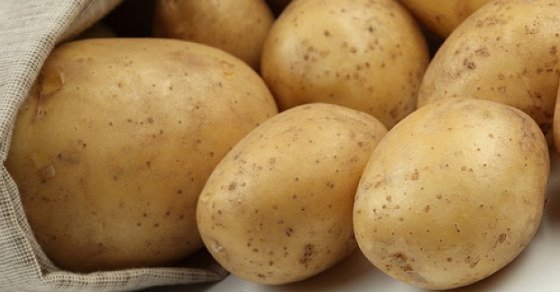 7 Shocking Signs You’re Eating a GMO Potato – MUST KNOW!