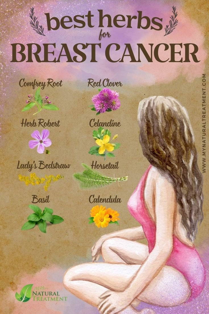 8 Potent Herbs That Fight Breast Cancer Naturally