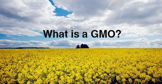 GMOs Exposed: The Shocking Truth Behind Genetic Engineering