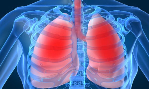 Lung Cleanse Secrets: 3-Day Plan to Breathe Better Now!