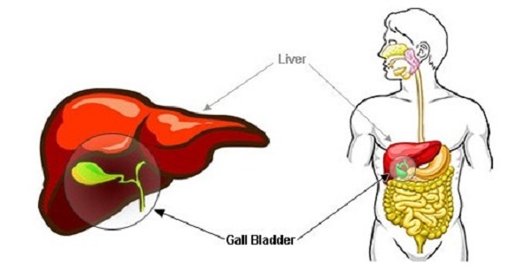 Natural Remedies for Gallstones: 1 Drink That Dissolves Stones Fast