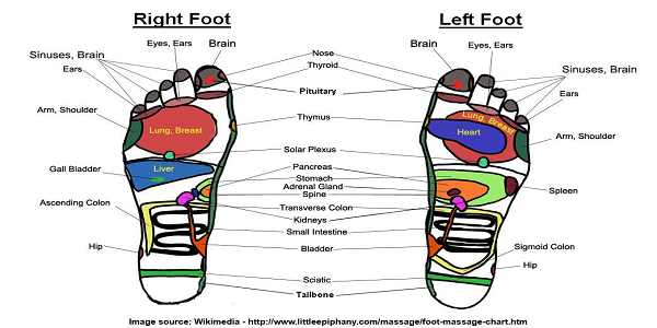 Reflexology Secrets: 7 Home Remedies to Heal Common Ailments Fast