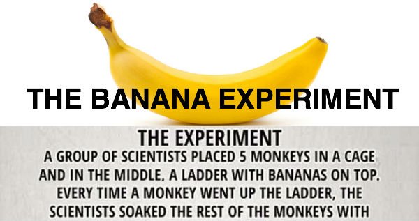 The Banana Experiment: 3 Mind-Blowing Life Lessons You Can’t Ignore