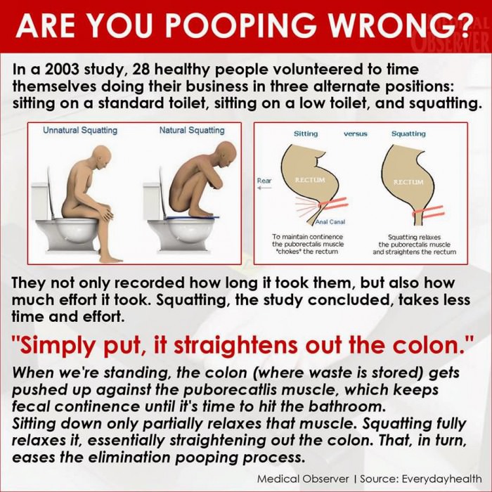 The Shocking Truth: How You’ve Been Pooping Wrong All Along!